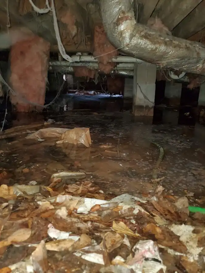 Crawl space flood assessment for Leak Detection & Repair in Scotia